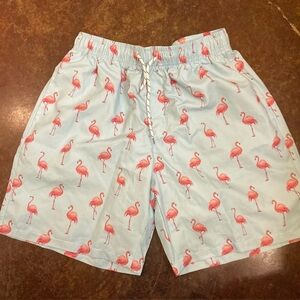 Men’s small striped swim trunks flamingos
